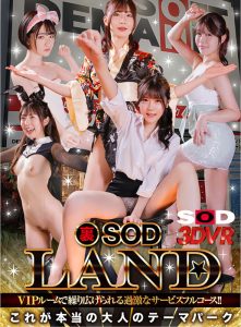 【VR】裏SODLAND VIPルームで繰り広げられる過激なサービスフルコース！！これが本当の大人のテーマパーク