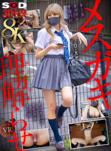 【VR】【8K】メスガキ理解らせVR-塩対応でクソ生意気なP活J系をクスリ漬け生ハメで再教育-