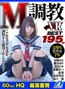 【VR】HQ60fps M調教VR BEST195分